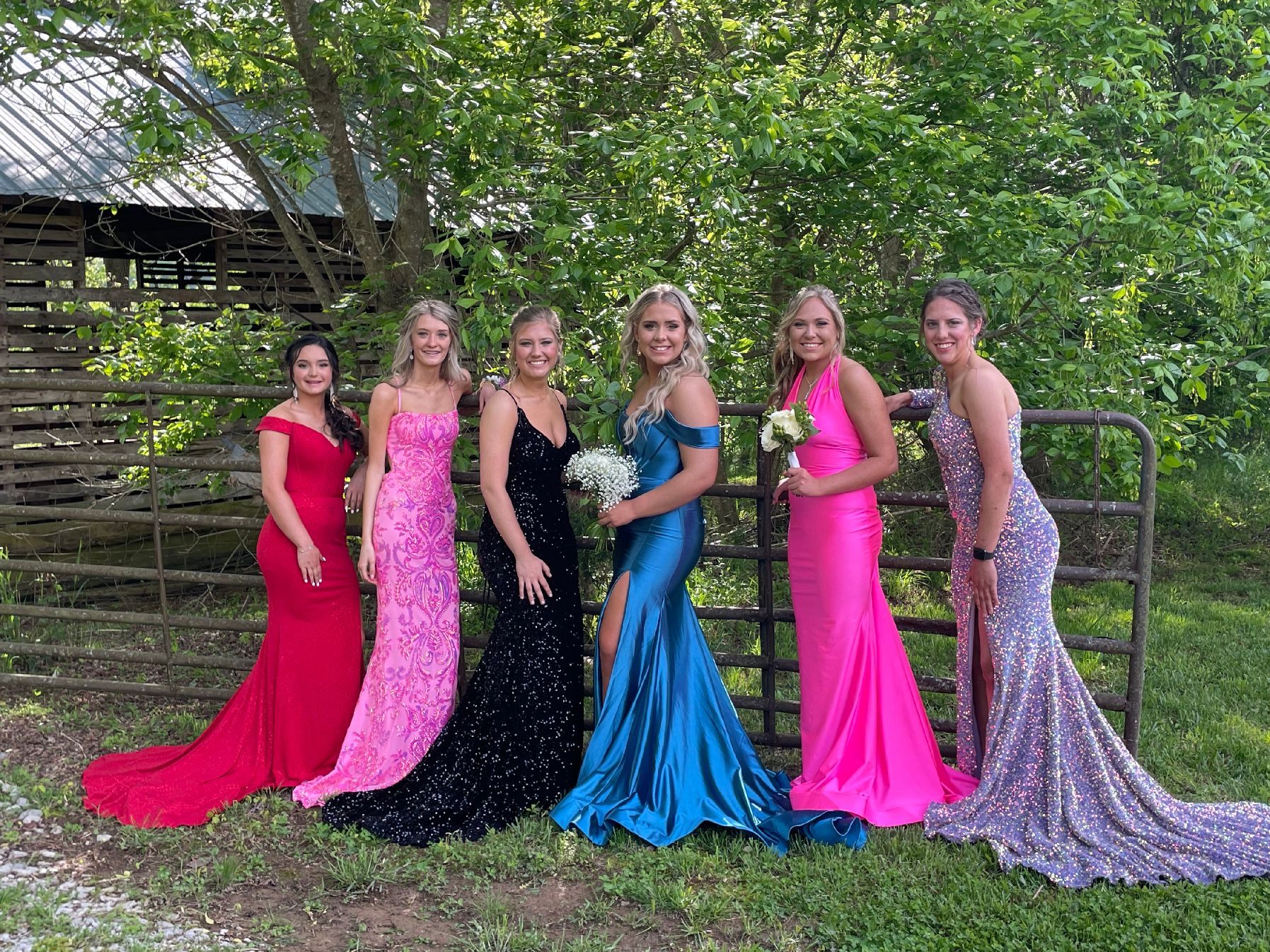 Grouped for a photo on the green lawn of Hayes House, these women are ready for Prom<br />
